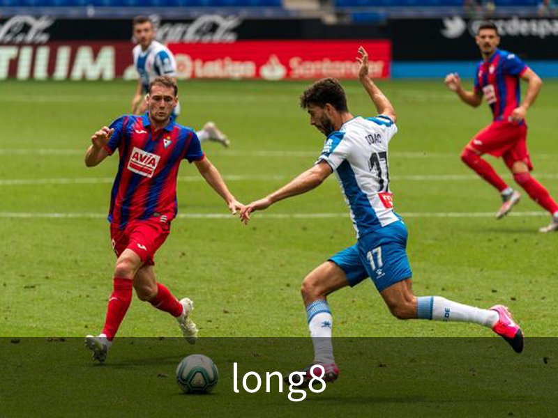 long8简介